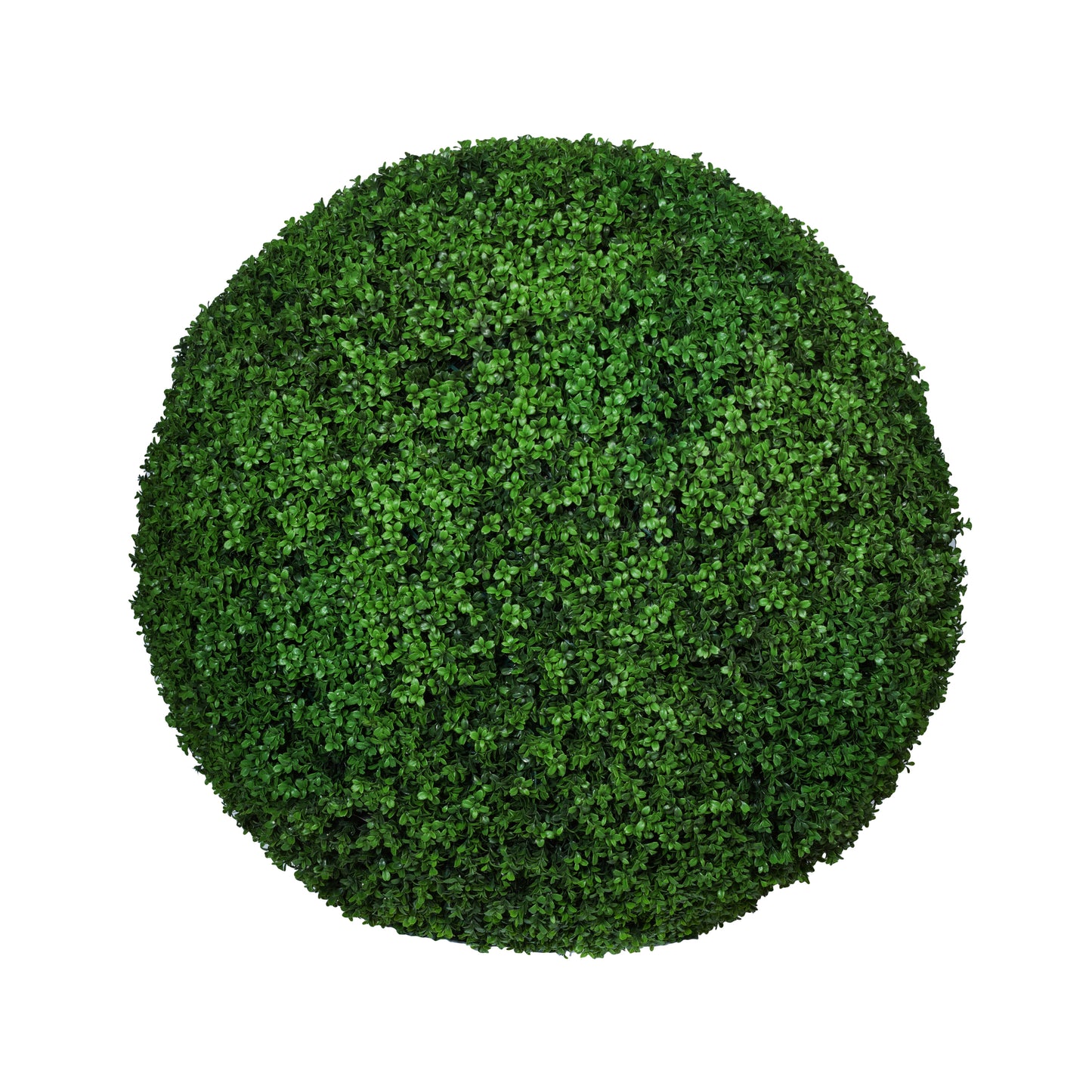 BOXWOOD ROUND