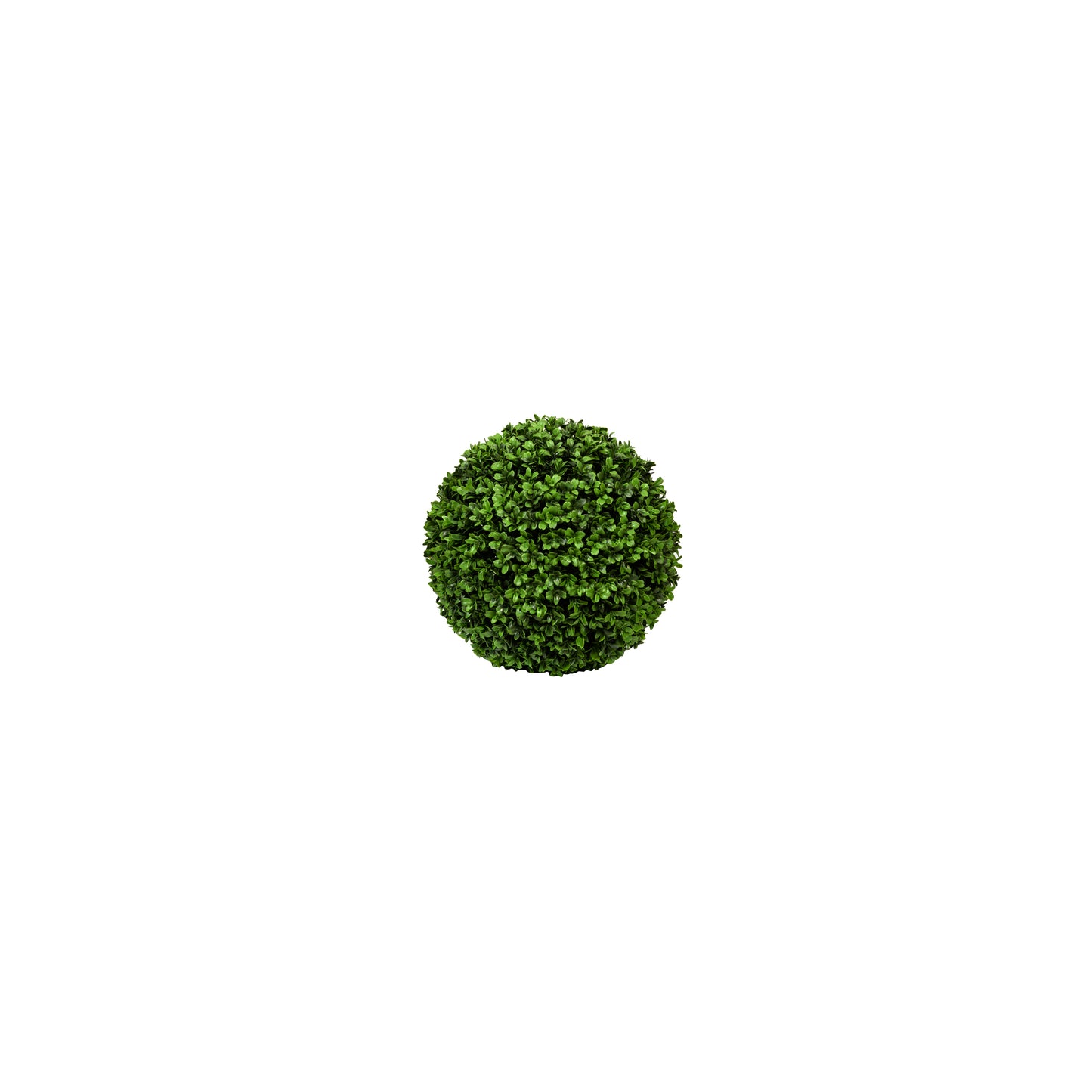 BOXWOOD ROUND