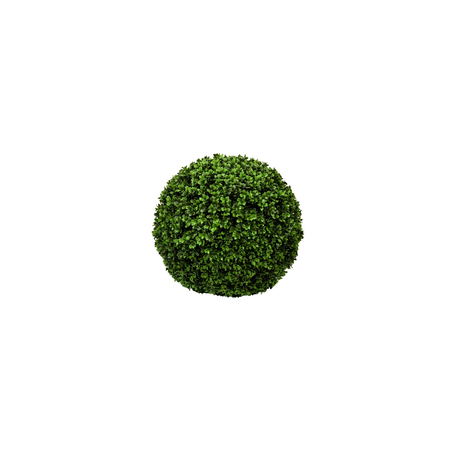 BOXWOOD ROUND