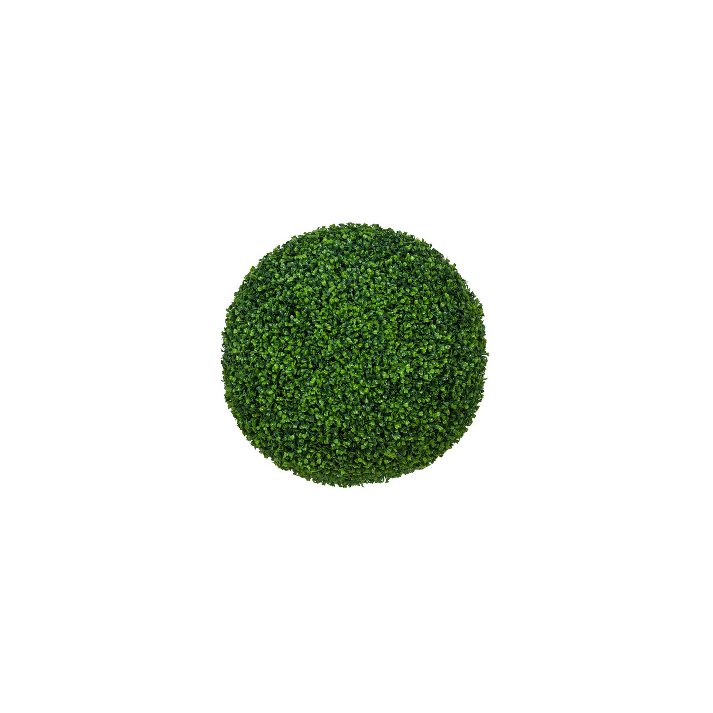 BOXWOOD ROUND