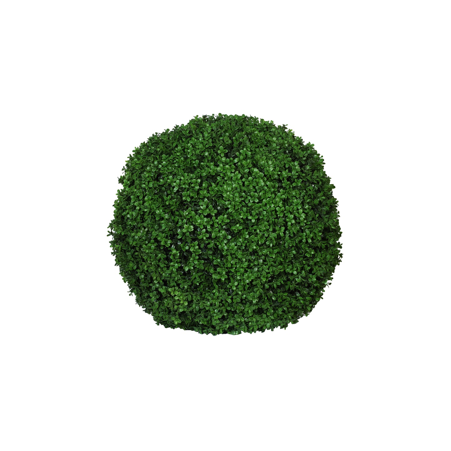 BOXWOOD ROUND