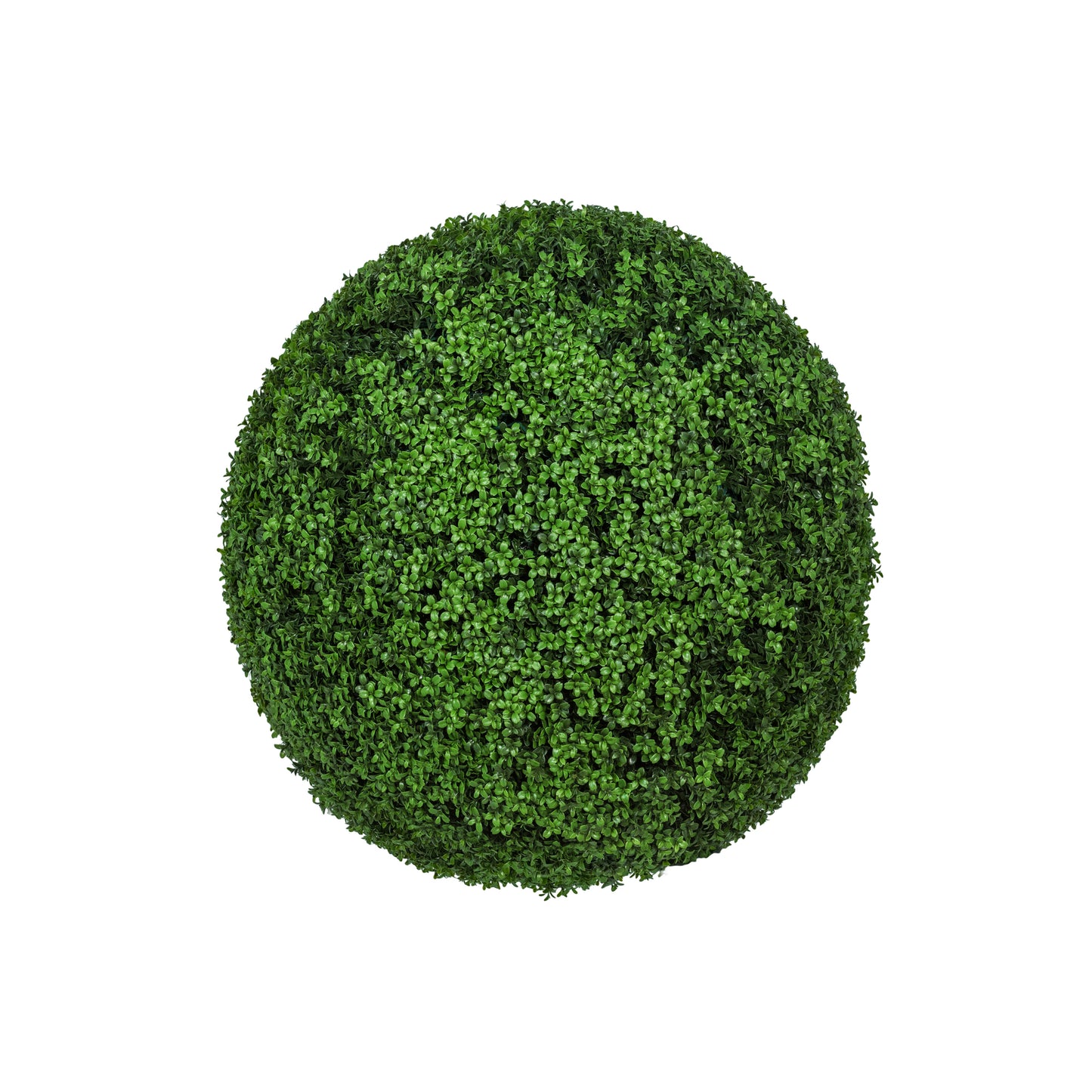 BOXWOOD ROUND